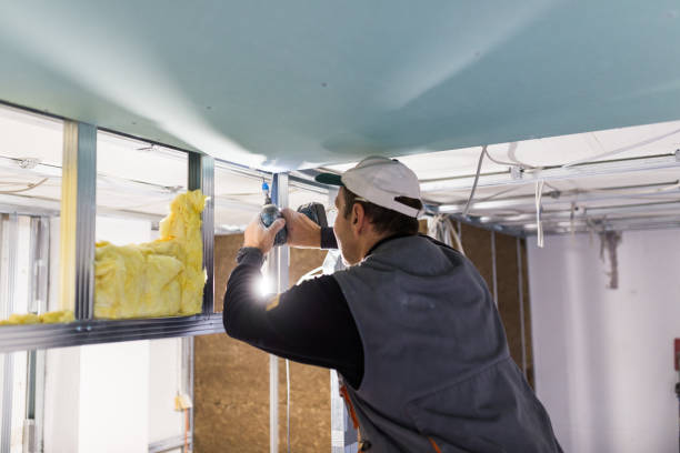 Best Residential Insulation Services  in Wesson, MS