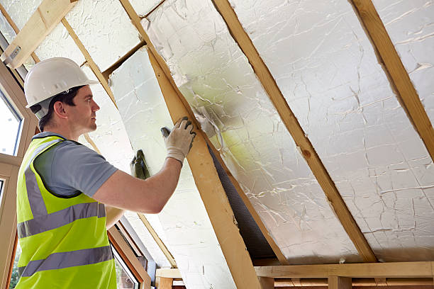 Best Home Insulation Services  in Wesson, MS